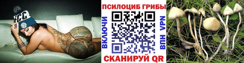 Галлюциногенные грибы MAGIC MUSHROOMS  где можно купить наркотик  Чердынь 